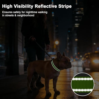 Taglory AirTag Dog Collar with Waterproof Holder for Puppy, Green, XS | Reflective for Night Walks & Low-Light Safety, Track Your Pup Peace of Mind, Adjustable Soft Padded, No More Dangling Tags