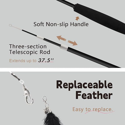 SONGWAY Cat Wand Toys for Indoor Cats - Cat Toy Set with Retractable Teaser Wand and 6 PCS Feather Toy Refills, Dragonfly Tassel Cat Toys Interactive, Black