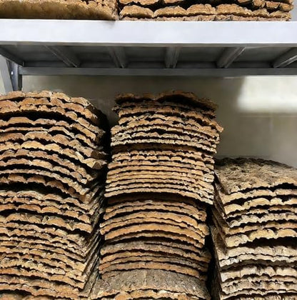 AWXZOM 2pcs Large Cork Bark Terrarium Background 15.7x11.9inch, Natural Cork bark for Reptiles Background Climbing Wall for Chameleons Lizards Turtle Beared Dragon Snake Reptile Tank Background
