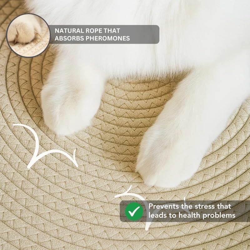 Instinct Basket | Meet The First Research-Backed Natural Territory for Indoor Cats (Grey,S)