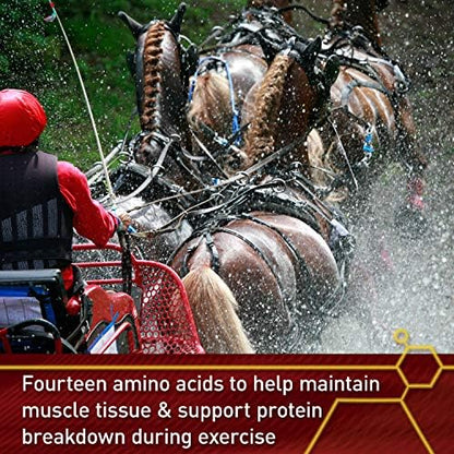 Vita Flex Pro Accel Health & Wellness, Horse Supplement, 240-Day Supply