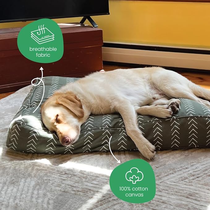 Molly Mutt Medium to Large Dog Bed Cover- Forever Young Print - Measures 27”X36”X5’’ - 100% Cotton - Durable - Breathable - Sustainable - Machine Washable Dog Bed Cover (Dd82b)