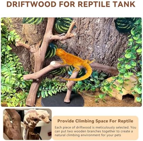 BNOSDM 2PCS Reptile Wood Branches Decor,Lizard Habitat Natural Wood Decoration,Snake Climbing Branch Accessories,Terrarium Tree Trunk Ornament for Bearded Dragon Gecko Frog Chameleon Spider