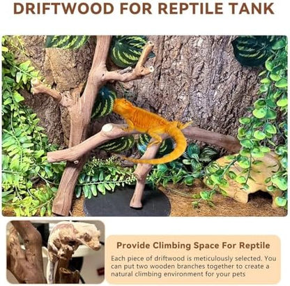 BNOSDM 2PCS Reptile Wood Branches Decor,Lizard Habitat Natural Wood Decoration,Snake Climbing Branch Accessories,Terrarium Tree Trunk Ornament for Bearded Dragon Gecko Frog Chameleon Spider