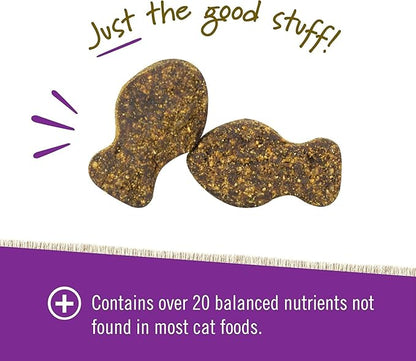 Pet Naturals Daily Multi Multivitamin Soft Chews for Cats, Vet Formulated with Biotin, Taurine, Calcium, and Arginine, Gentle Formula, Fish, 30 Count