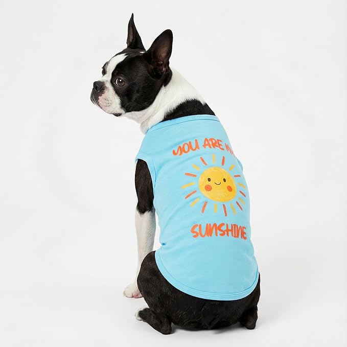 Fitwarm You are My Sunshine Dog Shirt, Tropical Summer Clothes for Small Dogs Boy Girl, Funny Pet Outfit, Blue, Yellow, XL
