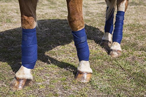 Intrepid International Polo Wraps for Horses Set of 4 Cotton Bandage Wrap, Horse Leg Wraps, Vet Wrap for Horses, Horse Size, Exercise Training Bandage