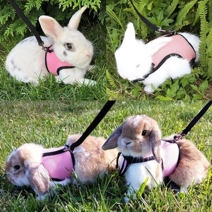 Rabbit Carrier Small Pet Carrier with Bunny Harness and Leash