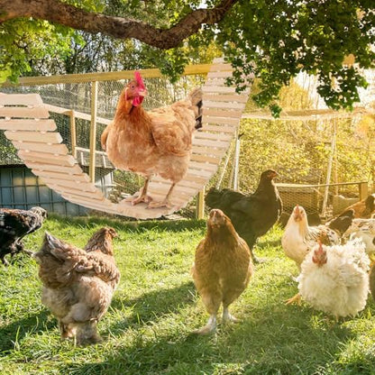 Jorewood Chicken Coop Toy Natural Wooden Chicken Swing & Bridge Toys Multi-Functional Poultry Perch with Wooden Beads (Safe for Chickens/Ducks)