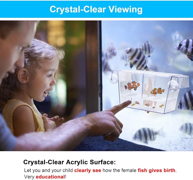 DaToo Fish Breeding Box Aquarium Holding Tank Transparent Fish Isolation Box Acclimation Hatchery Incubator Breeder for Betta Shrimp Clownfish Guppy