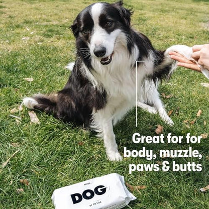 DOG by Dr Lisa - Dog Wipes - Plant-Based, Natural Bathing Wipes for Dogs - Made from 100% Compostable Bamboo - Vet-Created - Vegan, Non-Toxic - 240 Count