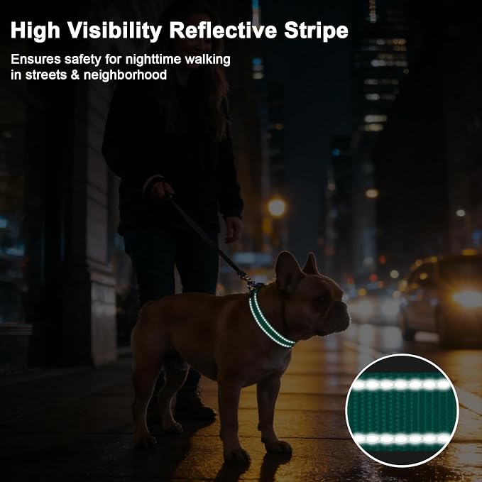 Taglory AirTag Dog Collar with Waterproof Holder for Medium Dogs, Turquoise | Reflective for Night Walks & Low-Light Safety, Track Your Pup Peace of Mind, Adjustable Soft Padded, No More Dangling Tags, M