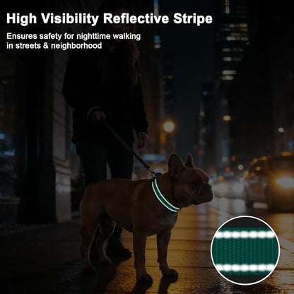 Taglory AirTag Dog Collar with Waterproof Holder for Medium Dogs, Turquoise | Reflective for Night Walks & Low-Light Safety, Track Your Pup Peace of Mind, Adjustable Soft Padded, No More Dangling Tags, M