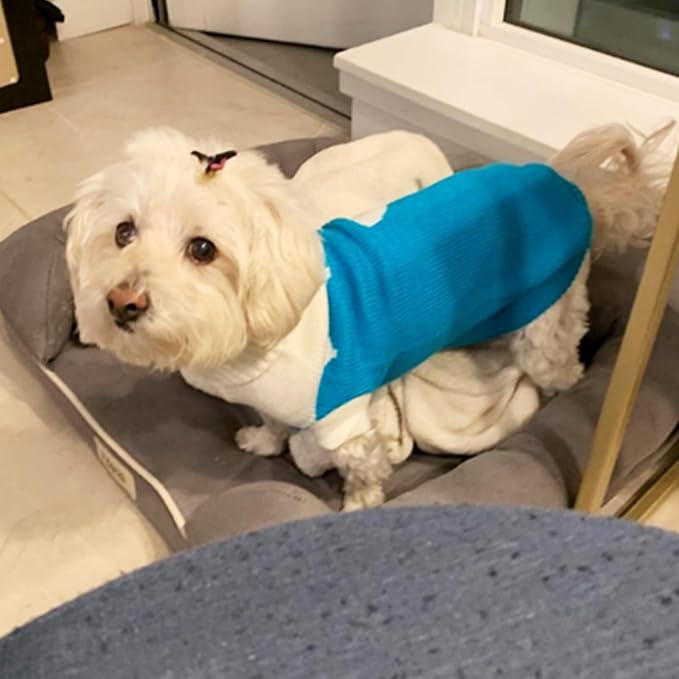 CHBORCHICEN Pet Dog Sweaters Classic Knitwear Turtleneck Winter Warm Puppy Clothing Cute Strawberry and Heart Doggie Sweater (Sky Blue, Small)