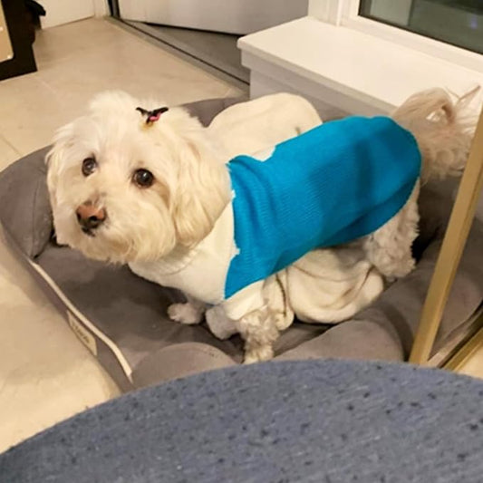 CHBORCHICEN Pet Dog Sweaters Classic Knitwear Turtleneck Winter Warm Puppy Clothing Cute Strawberry and Heart Doggie Sweater (Sky Blue, Large)