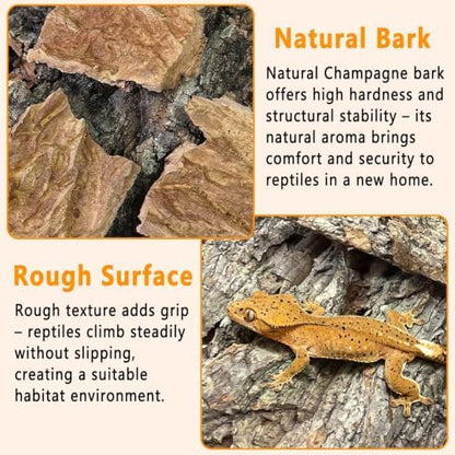 BNOSDM Reptiles Cork Bark Substrate,1.4lb Bearded Dragon Champagne Cork Bark Flats Hide Climbing,Reptiles Wood Bedding Terrarium Decor Tank Accessories for Lizards Snake Gecko Tarantula Isopods（L）