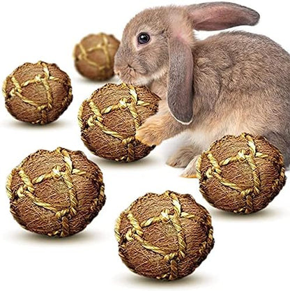 SunGrow Assorted Rabbit & Cat Chew Balls, Teething Activity Toy for Pocket Pets, Improves Dental Health, Environment Friendly, Stress Reliever (Coco Fiber, 6 Pcs)