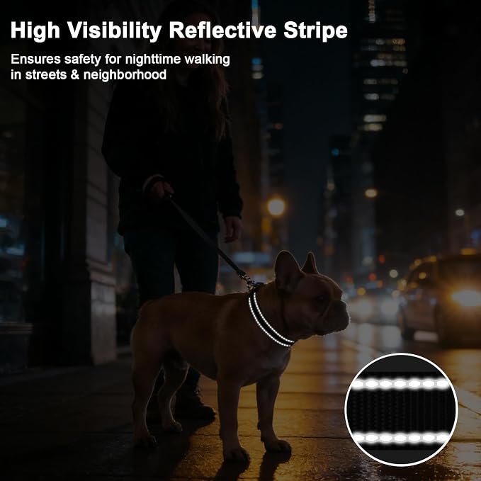 Taglory AirTag Dog Collar with Waterproof Holder for Medium Dogs, Black, M | Reflective for Night Walks & Low-Light Safety, Track Your Pup Peace of Mind, Adjustable Soft Padded, No More Dangling Tags
