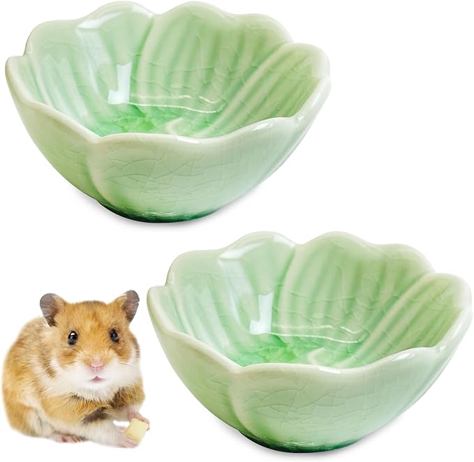 BNOSDM 2 Pcs Hamster Ceramic Food Bowl Flower Series Gerbil Drinking Bowls Anti-Turning Food & Water Dish for Dwarf Syrian Hamsters Gerbil Chinchilla（Green, Narcissus Pattern）