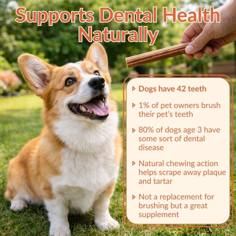 Bully Sticks for Large Dogs 12" – Single Ingredient, 20-Pack
