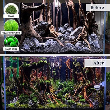 majoywoo Natural Large Driftwood for Aquarium Decor Reptile Decor
