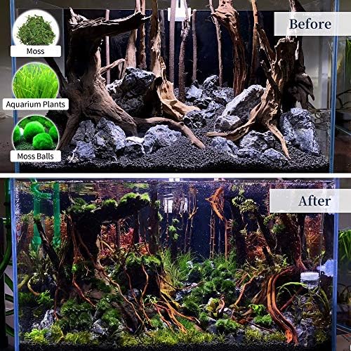 majoywoo Natural Large Driftwood for Aquarium Decor Fish Tank Decorations