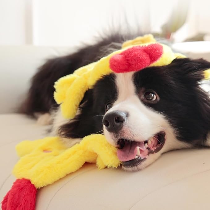 Tamu style Dog Chicken Crinkle Toy, Plush Squeaky 14 Inches, No Stuffing Design for Small Medium Dogs, Interactive Toy for Pet Training and Playing