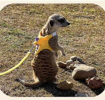 Ferret Harness and Leash Set Small Animals Vest Harness with Safe bell Dinosaur Shaped Walking clothes for Baby Rabbit Guinea pig Teacup Chihuahua Mouse and other small pet.(Yellow Dinosaur)