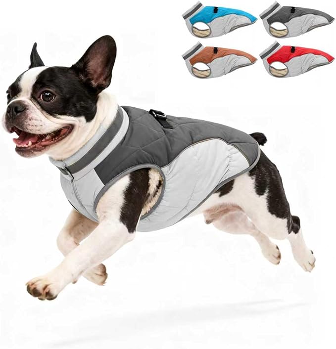 Dog Winter Coat for Small Dogs, Adjustable Puppy Warm Jackets in Cold Weather, Reflective Pet Fleece Vest with External Attachment Points, Zippered Cold-Weather Dog Winter Clothes, XS Black