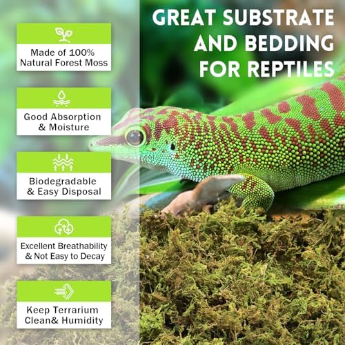 Riare 1.3lb Natural Sphagnum Moss for Reptiles, Terrarium Substrate Bedding