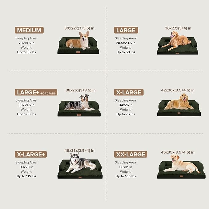 Dog Bed Medium Size Dog-Orthopedic Waterproof Bed for Dogs,Foam Couch Sofa with Washable Removable Cover & Non-Slip Bottom - Outpost Olive