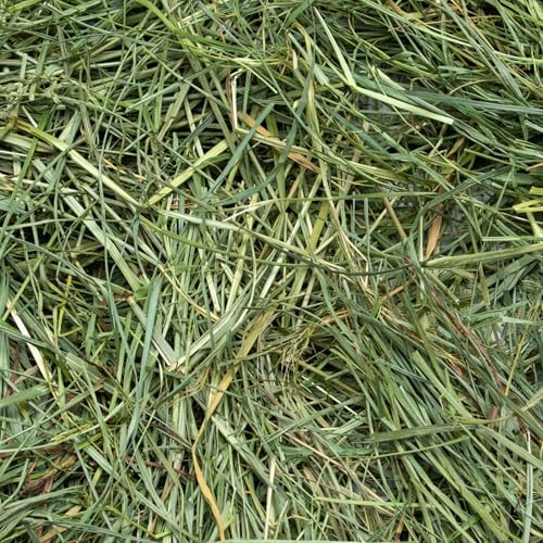 Rabbit Hole Hay - Ultra Premium Mountain Grass for Small Pets - 20 lb Box - Hand-Sorted Freshness