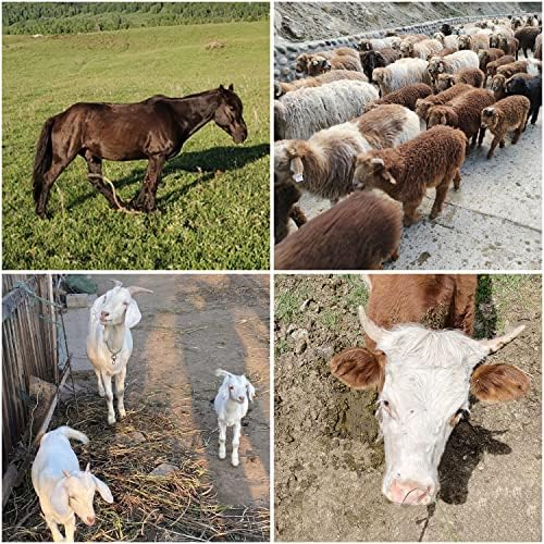 2Pcs Horse Hay Feeder 24 Gallon Capacity