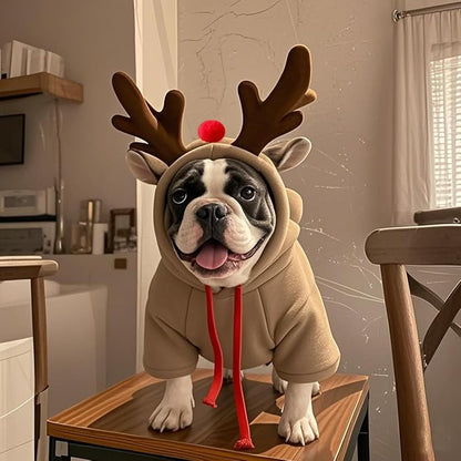 Pet Clothing Dog Transformation Frog Hoodie Autumn and Winter Warm Small Large Dog Method Dou Cat Bullfighting Clothes (elk,M)