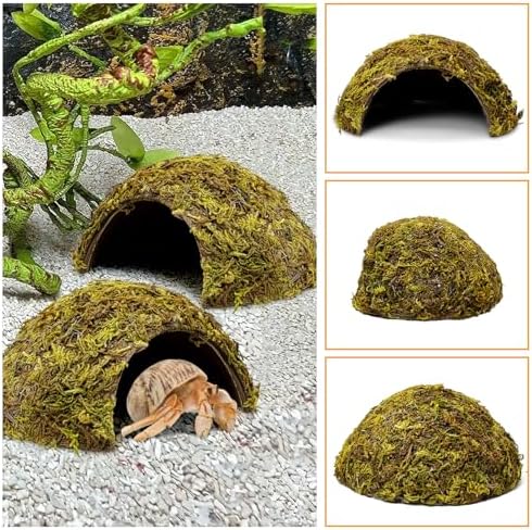 PINVNBY 4 Pack Natural Green Moss Hide Caves Coconut Reptile Hideouts Hamster Climbing Toys Gecko Habitat Decor Lizard Shell Shelter for Snake Tarantulas Turtle Chameleon