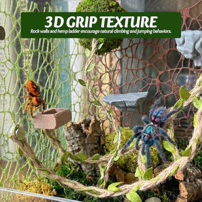 Jumping Spider Enclosure Accessories Kit - Magnetic Moss Ball Hideout, 2 Rock Ledges, Feeding Bowl, Climbing Mesh Nets & Rope Ladder - Natural Forest Habitat Decor for Regal (Moss Cave with Rope)