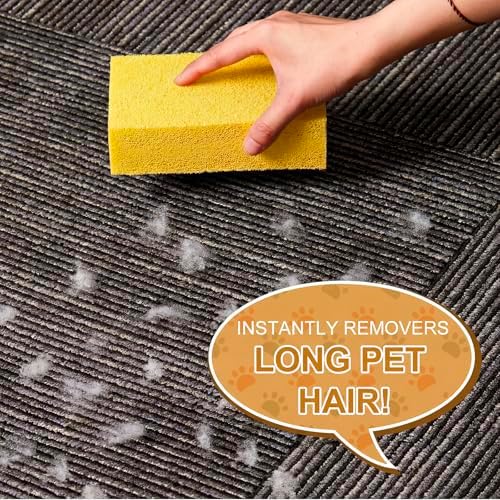 2 Pack Pet Hair Remover Sponge Cat and Dog Hair Sponge, Yellow