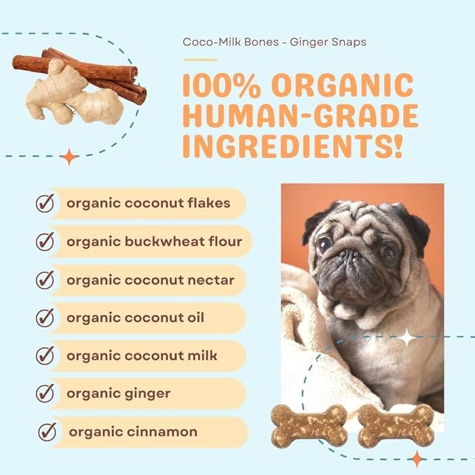 CocoTherapy Ginger Coco-Milk Bones 3 Pack, 6 Ounces Each, USDA Organic
