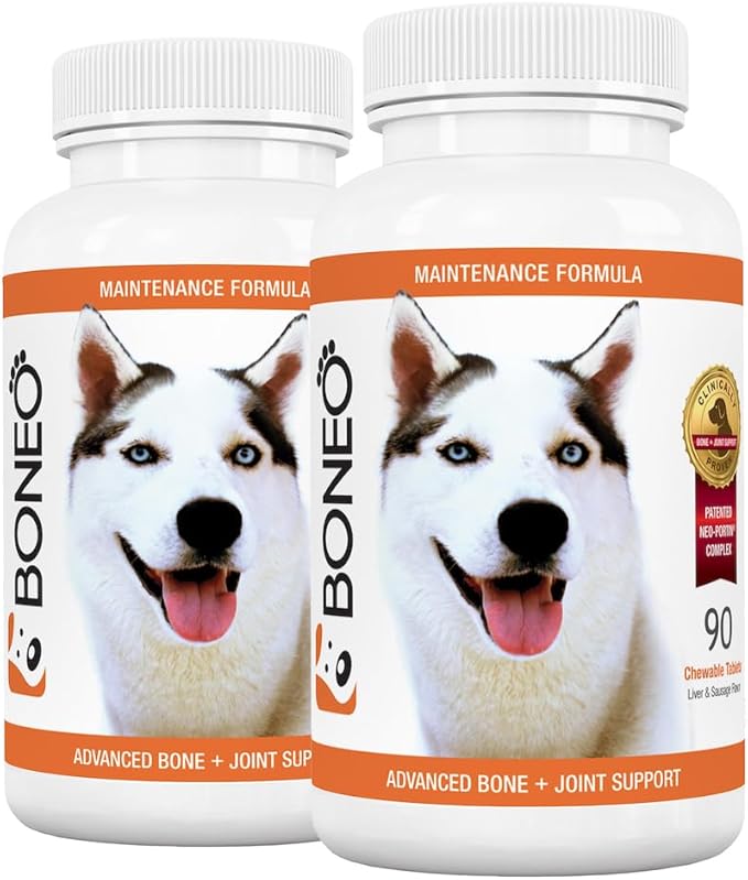 Canine Maintenance Formula - Lactoferrin-Based Bone and Joint Supplement for Dogs - 90 Ct Dual Pack Chewable Tablets, Liver Flavor