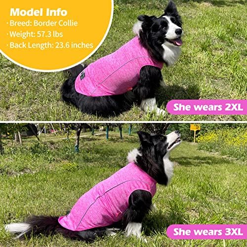 KYEESE Reflective Dog Shirt, Lightweight Sun Protection Dog T Shirts for Medium Large Dogs Girl, Breathable Sleeveless Pet Tank Top Summer Dogs Clothes for Night Walking Outdoor, Rose Red, 2XL