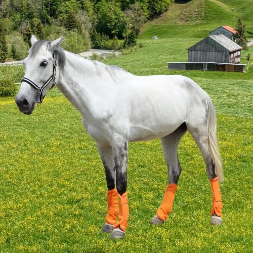 Horse Fly Boots, Mesh Fly Boots for Horse Set of 4, Equine Leg Protection