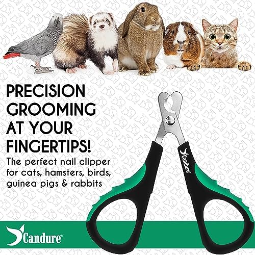 Candure Cat Nail Clippers for Indoor Cats, Rabbits, Hamsters, Birds with Precise Angled Edges to Ensure Easy & Safe Trimming Stainless Steel Cat Nail Trimmer for At-Home Cat Grooming