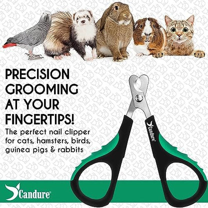 Candure Cat Nail Clippers for Indoor Cats, Rabbits, Hamsters, Birds with Precise Angled Edges to Ensure Easy & Safe Trimming Stainless Steel Cat Nail Trimmer for At-Home Cat Grooming