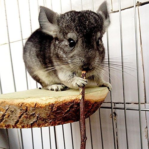 sharllen 300g(10.5oz) Apple Sticks (About 90 Sticks) Pet Chew Toys for Rabbits Chinchilla Guinea Pigs by