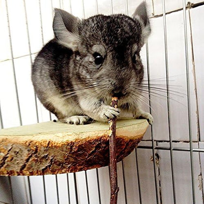 sharllen 500g(18oz) Apple Sticks Pet Chew Toys for Rabbits Chinchilla Guinea Pigs