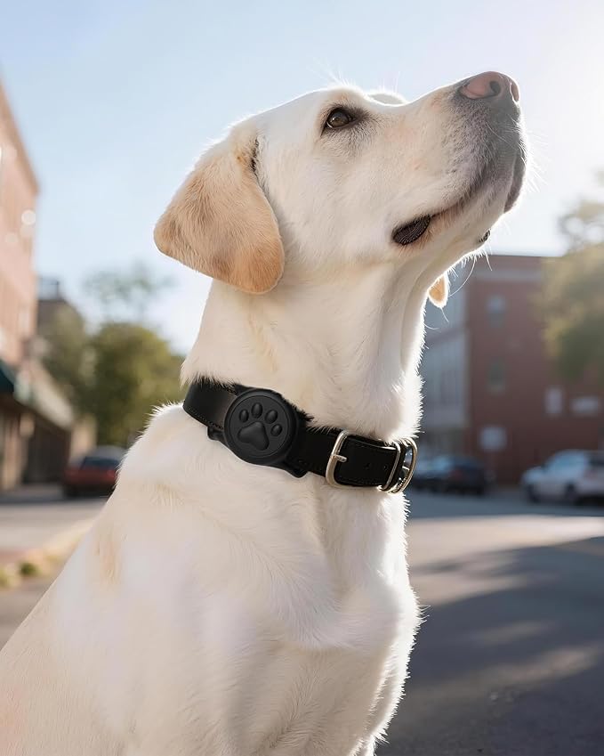 IP68 Waterproof Dog AirTag Holder for Dog Collar, Soft, Stretchy Silicone | Full-Body Protection, Easy Tool-Free Installation, Quiet, No-Dangle Fit, Lightweight, Fits Dog & Cat Collars of All Widths
