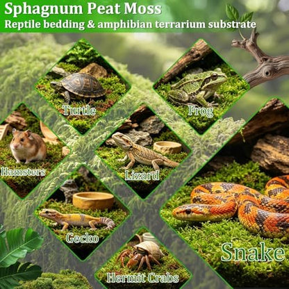 Riare 7OZ Natural Sphagnum Moss for Reptiles-10QT Soft Reptile Moss Bedding