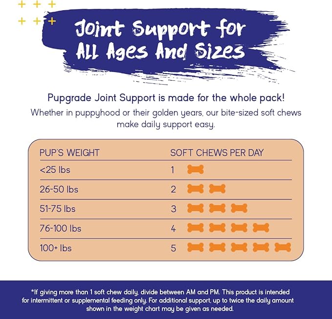 PupGrade Joint Support Supplement for Dogs - Glucosamine + Chondroitin with MSM and Perna - Supports Normal Hip & Joint Health for Occasional Discomfort, Beef Flavor - 360 Soft Chews
