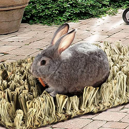 Hamiledyi Rabbit Grass Bed Bunny Natural Woven Foraging Mat Guinea Pig Hay Mat Enrichment Toy Scratch Pad for Chinchilla Squirrel Hedgehog(10.6x7.5x3.5inches)