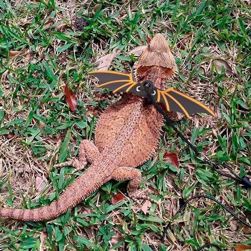 ADOGGYGO Black Bearded Dragon Leash Harness, 3 Size Pack, Cool Bat Wing